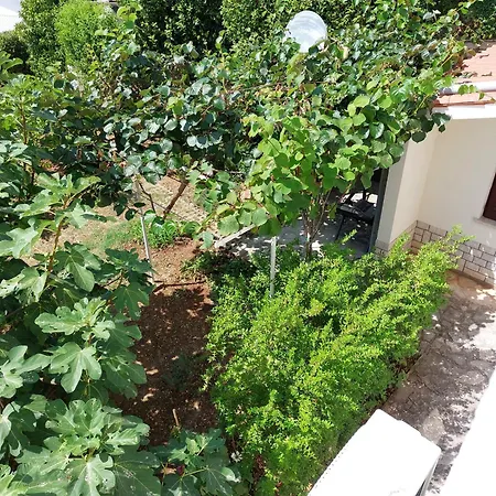 Kiwi Apartman Rabac