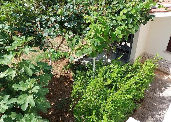 Kiwi Lejlighed Rabac