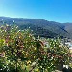 Apartmán Kiwi Rabac