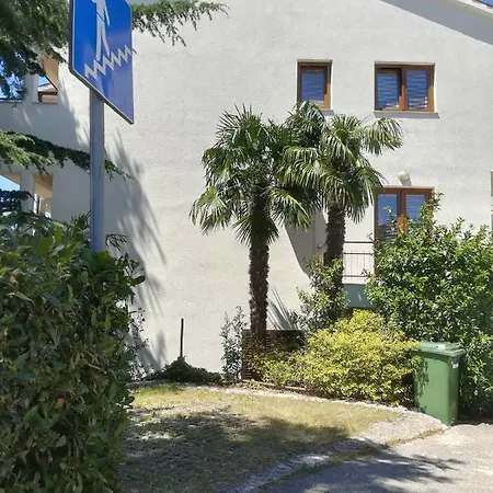 Kiwi Apartment