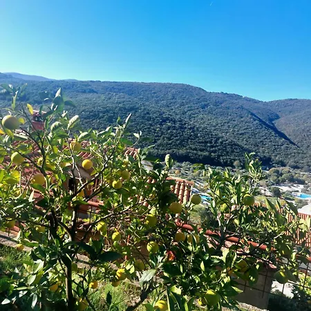 Appartement Kiwi Rabac